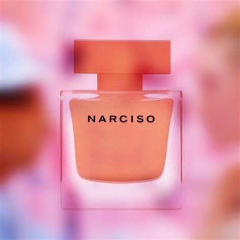 narciso rodriguez perfume reviews